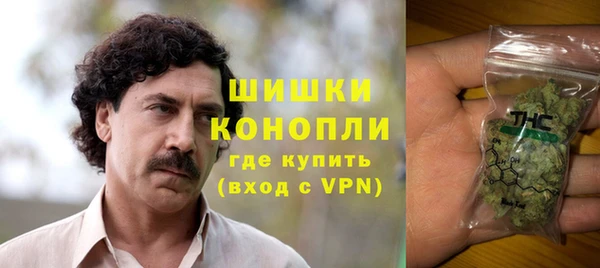 бошки Алексин