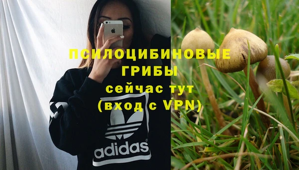 бошки Алексин