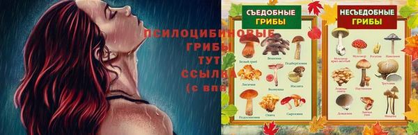 бошки Алексин